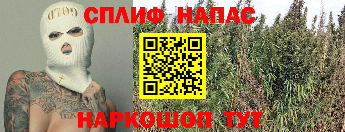 Бошки марихуана OG Kush Муравленко